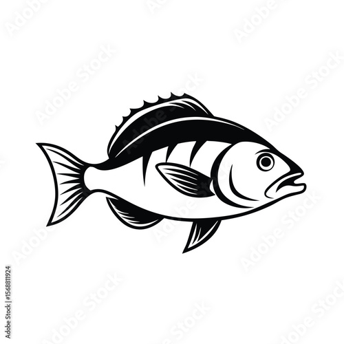 fish vector illustration
