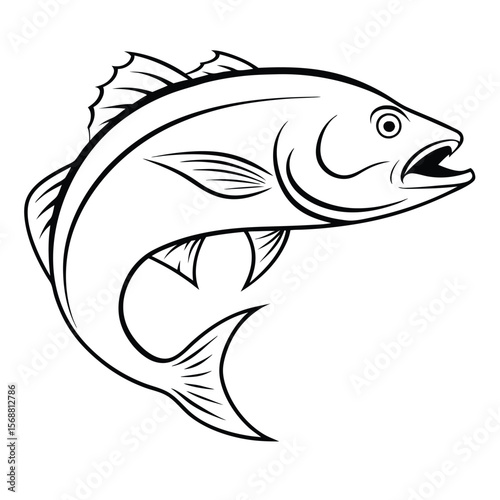 fish vector illustration