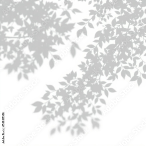 shadow overlay effect. Gray shadow of leaves isolated on white background. Plant foliage leaf shadow light effect. Mockup Blurred tree branch shadow. Ideal for summer spring design elements PNG