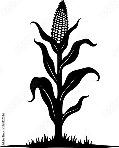 Corn plant silhouette vector illustration isolated on a white background 