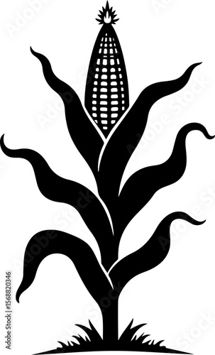 Corn plant silhouette vector illustration isolated on a white background 