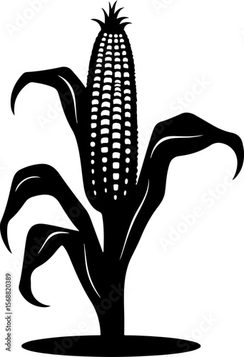 Corn plant silhouette vector illustration isolated on a white background 