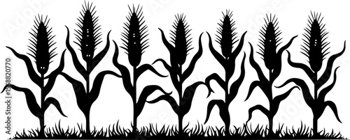 silhouette, corn, illustration, design, icon, leaf, vector, agriculture, food, plant, clip art, farming, grain, graphic, harvest, vegetable, vegetarian, art, isolated, vintage, black, nature, symbol, 