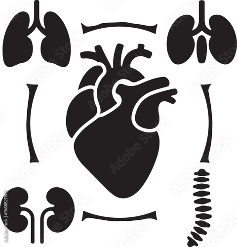 Medical healthcare line icon set. Vector pictograms of stethoscope, thermometer, syringe, pill, medicine, emergency, cross, heart, blood test, ambulance, bed, telehealth, thin linear illustration.