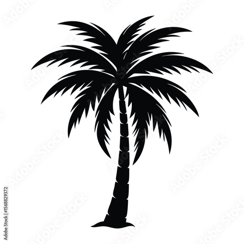 Black silhouette of a tropical palm tree with large fronds on a white background