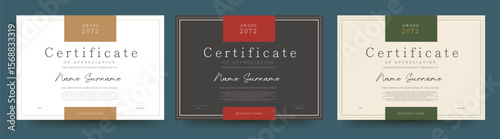 Elegant minimal certificate template with clean layout suitable for award appreciation completion or achievement in education or corporate use