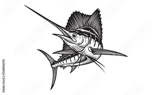 Sailfish Marine Life Vector Engraving Illustration