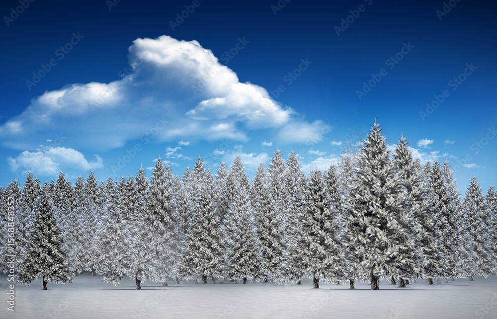 Fototapeta premium Fir tree forest in snowy landscape