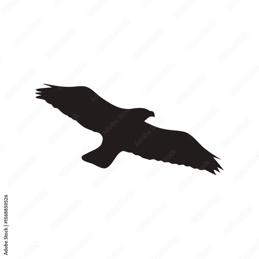 Fototapeta premium Majestic Eagle Silhouette Isolated on White Background