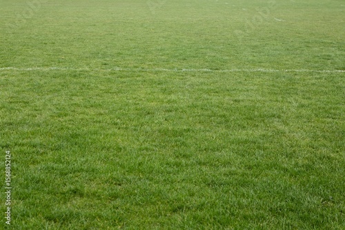 large green grass field is being shown in flat vector illustration, with faint white pitch marking