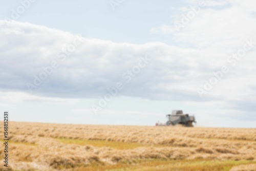 Combine harvester on wheat field