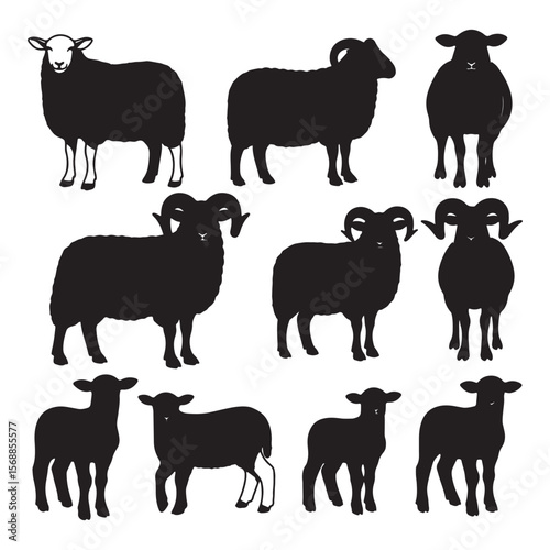 Nine Black Sheep Silhouettes Various Poses Adult Rams Ewes Lambs Farm Animals Black and White Graphic Design Elements