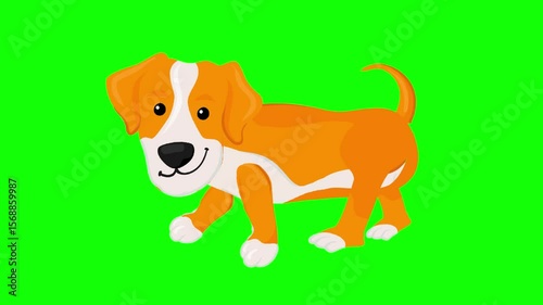 A yellow golden dog walking animation on green screen 