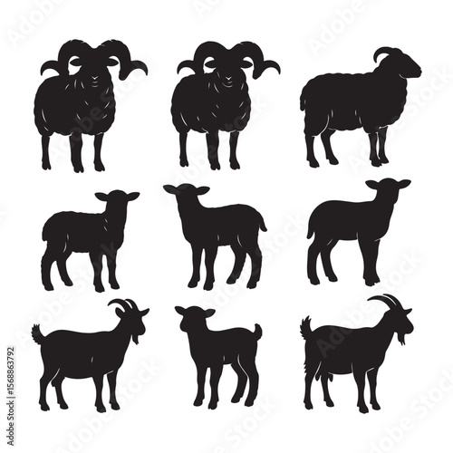 Nine Black Silhouettes of Sheep and Goats Adult Rams Ewes Kids and Adult Goats Farm Animals Collection