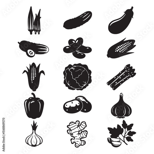 Okra cucumber eggplant corn cabbage asparagus bell pepper potato garlic ginger parsley vector