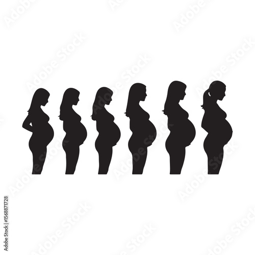 Pregnant women silhouettes showing gestation progression gestation stages pregnancy timeline