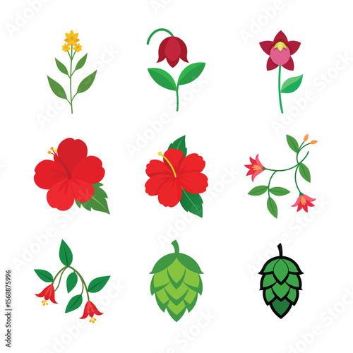 Floral bouquet with medicinal and ornamental herbs Color Vector illustration