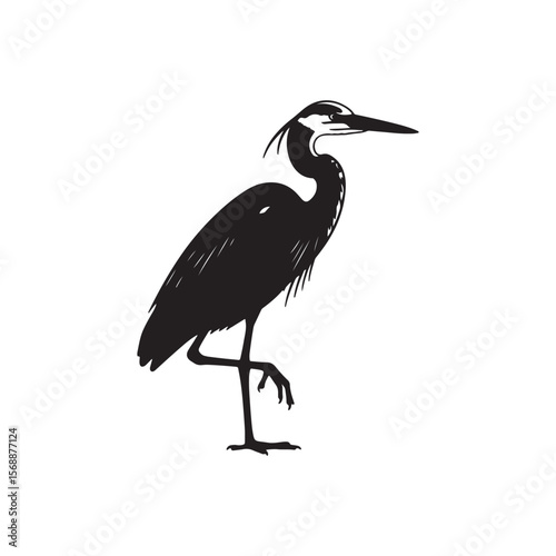 Silhouette of a great blue heron standing on one leg with its beak pointed forward bird black