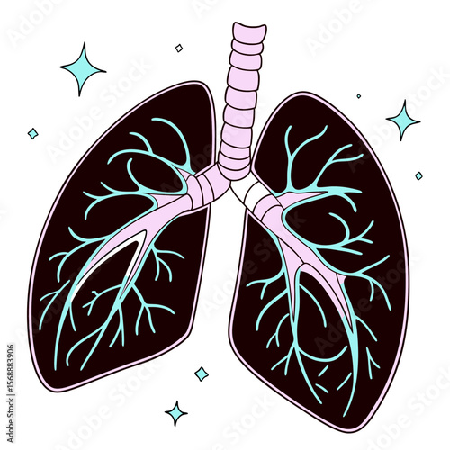Lungs with bronchi in minimal outline style on white background  