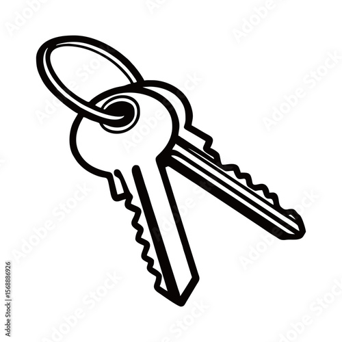 silhouette photo of key on white background