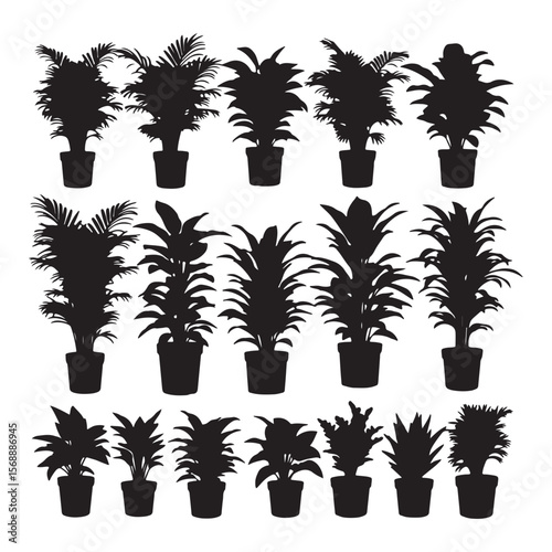 Silhouettes of potted plants houseplants foliage