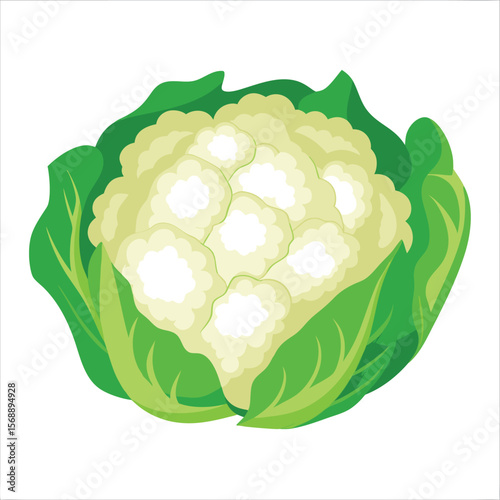 cauliflower with leaves vegetarian art