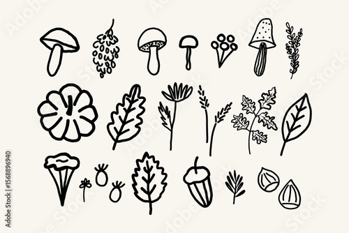 Vector illustrations of autumn objects:with pumpkin, mushrooms, berries, grapes, maple leaf, rowan, oak leaf, plants, fall flowers. Design elements for Thanksgiving Day, autumnal season, event