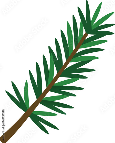 herb medicine foliage palm twig