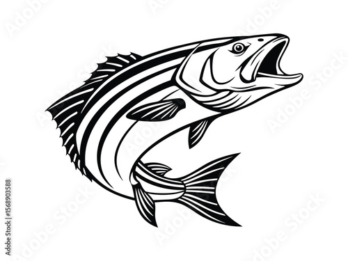 Snapper fish, big bass fish design art silhouette sector, icon logo illustration