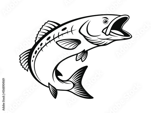 Salmon fish outline vector illustration on a white background. Salmon fish vector design and using black color line art illustration on a white background.