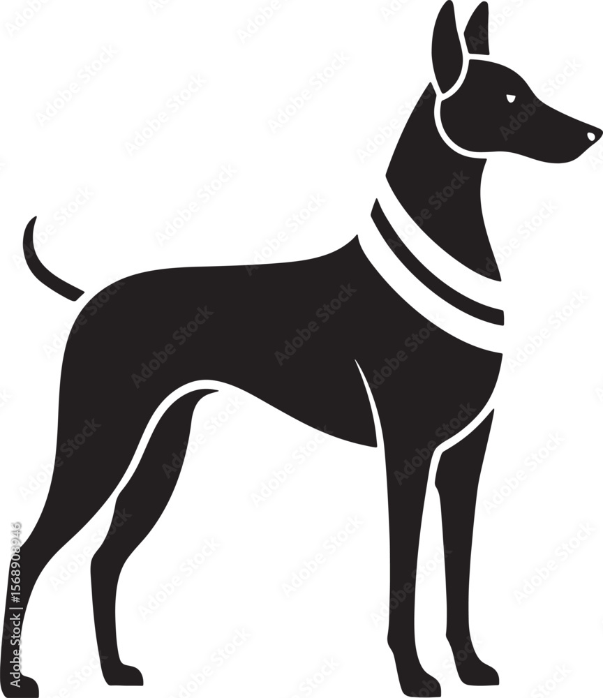 Obraz premium Elegant Egyptian pharaoh hound silhouette isolated on white background