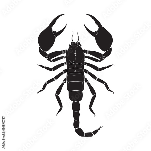 A minimalist silhouette vector of a scorpion, scorpion isolated on white background, Black and white scorpion silhouette, ideal for logos, branding, and wildlife themed digital art
