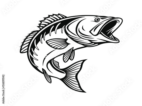 Bass fish vector design and using black color line art illustration on a white background
