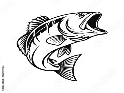 Bass fish vector design and using black color line art illustration on a white background