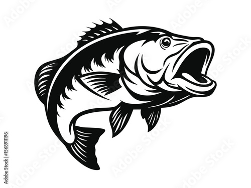 Bass fish vector design and using black color line art illustration on a white background