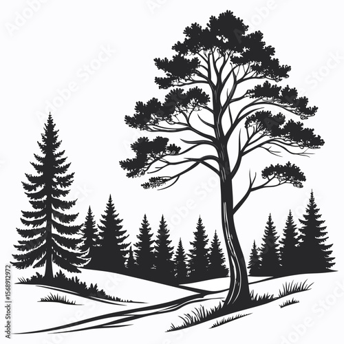 Majestic Pine Tree Silhouette: Black and White Forest Illustration