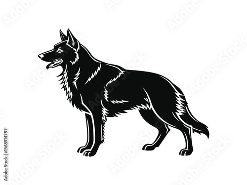 Belgian Tervuren dog silhouette vector illustration, pet clipart, black and white animal shape