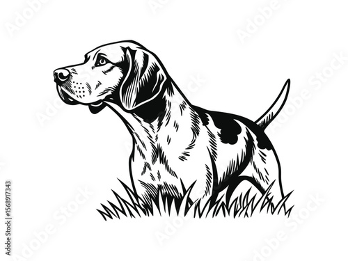 American Foxhound dog silhouette vector illustration, pet clipart, black and white animal shape