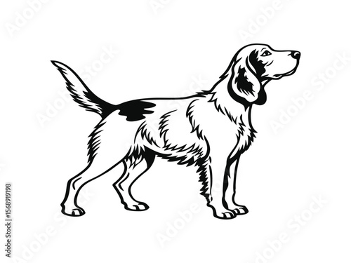 Basset Hound dog silhouette vector illustration, pet clipart, black and white animal shape