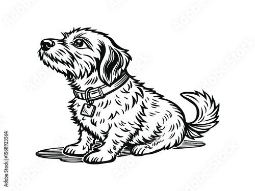 Dandie Dinmont Terrier dog silhouette vector illustration, pet clipart, black and white animal shape