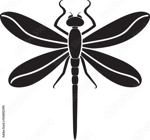 black dragonfly silhouette with detailed wings isolated on white background