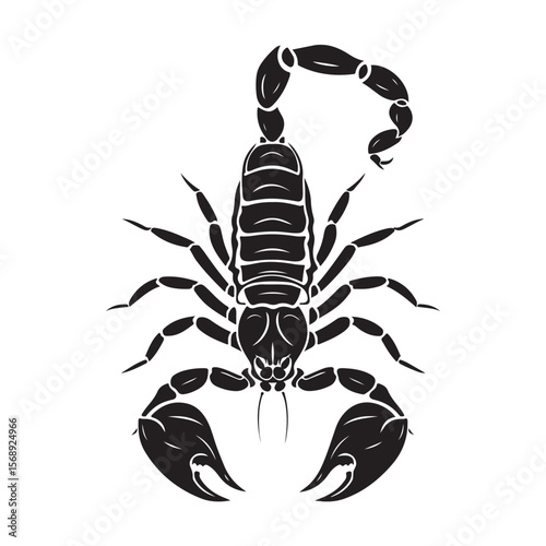 A minimalist silhouette vector of a scorpion, scorpion isolated on white background, Black and white scorpion silhouette, ideal for logos, branding, and wildlife themed digital art