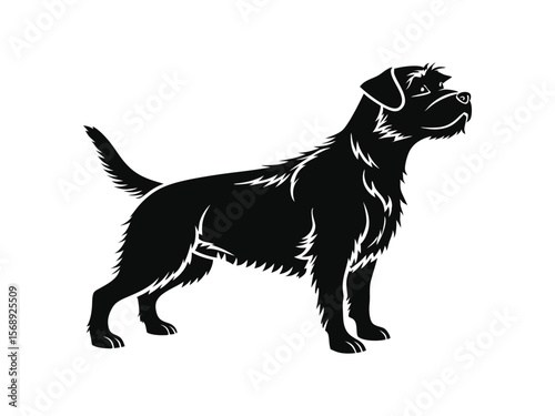 Norfolk Terrier dog silhouette vector illustration, pet clipart, black and white animal shape