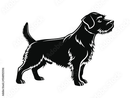 Norfolk Terrier dog silhouette vector illustration, pet clipart, black and white animal shape