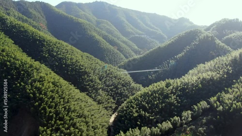 Explore Linkeng Bamboo Sea from above and discover its stunning landscapes and natural beauty in Anhui