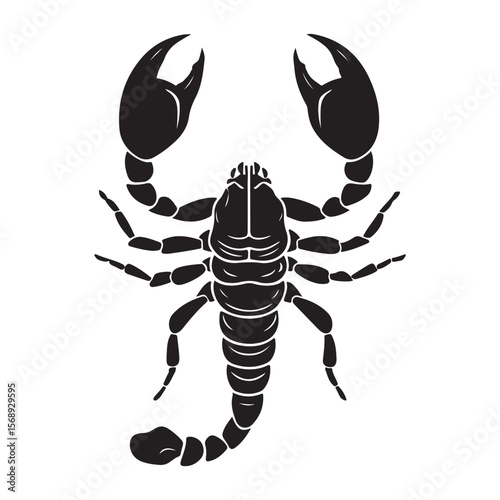 A minimalist silhouette vector of a scorpion, scorpion isolated on white background, Black and white scorpion silhouette, ideal for logos, branding, and wildlife themed digital art