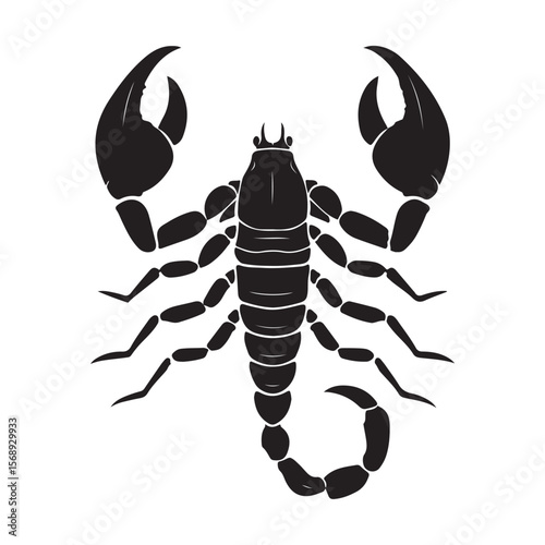 A minimalist silhouette vector of a scorpion, scorpion isolated on white background, Black and white scorpion silhouette, ideal for logos, branding, and wildlife themed digital art