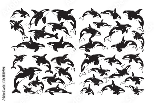 Orca Whale Silhouette Vector Icon Collection