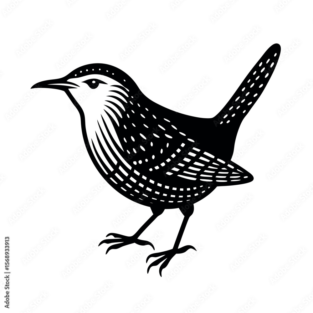 Fototapeta premium sedge wren