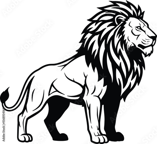 Black lione stand wild drawing
